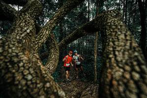 BIB: 
                            <button type="button" onclick="openModal(25675434)" class="btn btn-primary btn-sm float-right btn-popup" data-toggle="modal" data-target=".modal-high-quality">
                        <i class="fas fa-shopping-cart"></i> Add to Cart
                    </button>
                                            <button type="button" onclick="isThisMe(25675434, true)" class="btn btn-success btn-sm float-right btn-popup btn-isme hidden" data-toggle="tooltip" data-placement="bottom" title="นี่คือรูปของคุณใช่ไหม คลิกที่นี่เพื่อเอาเข้าอัลบั้ม">
                        <i class="fas fa-plus"></i> Add to album
                    </button>
                    <button type="button" onclick="isThisMe(25675434, false)" class="btn btn-warning btn-sm float-right btn-popup btn-isnotme hidden">
                        <i class="fas fa-ban"></i> Remove from album
                    </button>